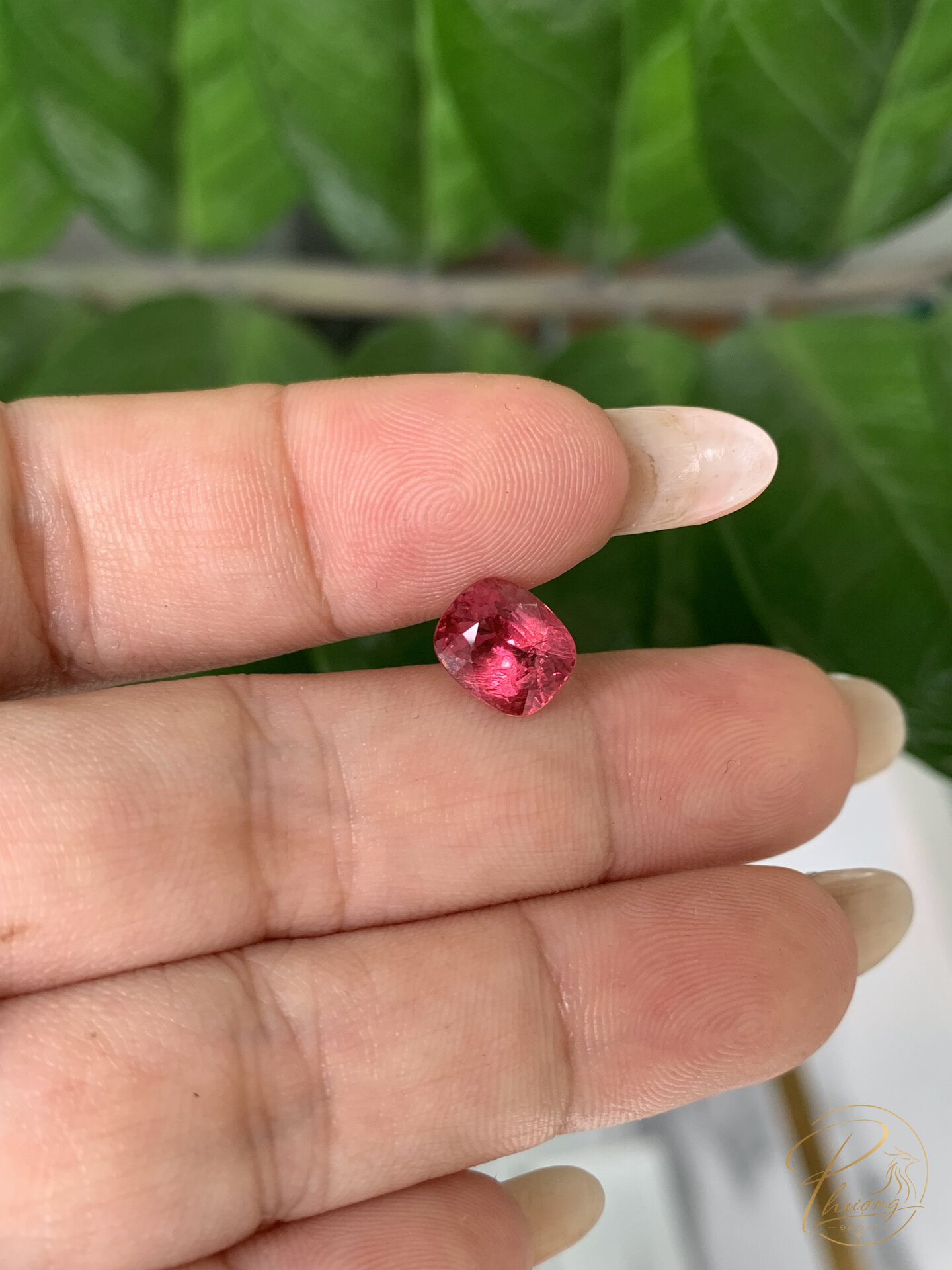 Viên Spinel đỏ cushion tự nhiên cầm giữa hai ngón tay